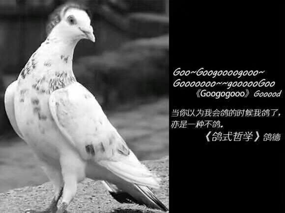 老王的blog搭建日志 wordpress 第1张-Mangocraft|芒果方块